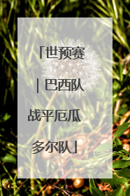 世预赛｜巴西队战平厄瓜多尔队